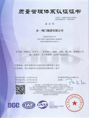 ISO9001-2000质量管理体系