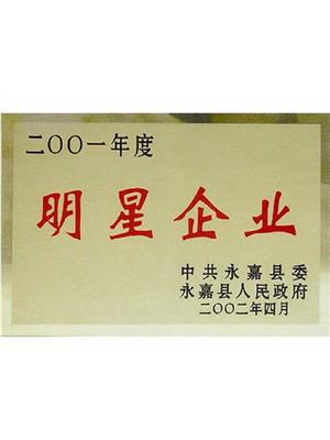 明星企业